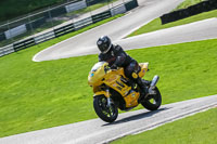 brands-hatch-photographs;brands-no-limits-trackday;cadwell-trackday-photographs;enduro-digital-images;event-digital-images;eventdigitalimages;no-limits-trackdays;peter-wileman-photography;racing-digital-images;trackday-digital-images;trackday-photos
